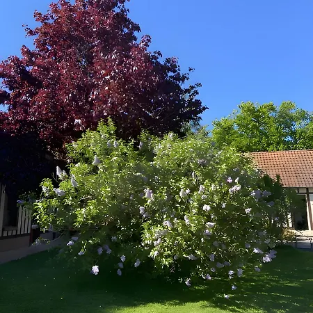 Sous Les Bruyeres